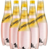 Schweppes Peach Coconut Soda 1L