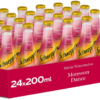 Schweppes Watermelon Melon Soda 200ml