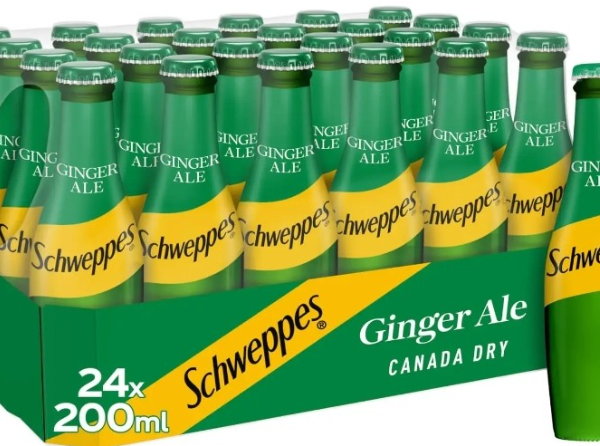 Schweppes Canada Dry Ginger Ale 200ml