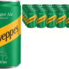 Schweppes Canada Dry Ginger Ale 150ml