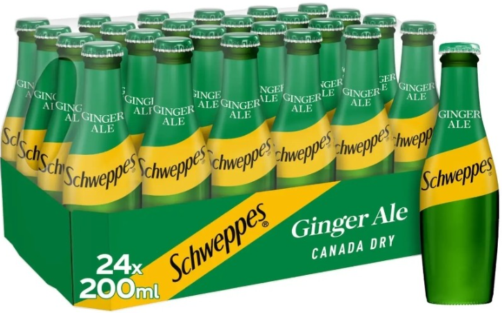 Schweppes Canada Dry Ginger Ale 200ml