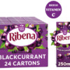Ribena Blackcurrant Juice Drink Carton 250ml