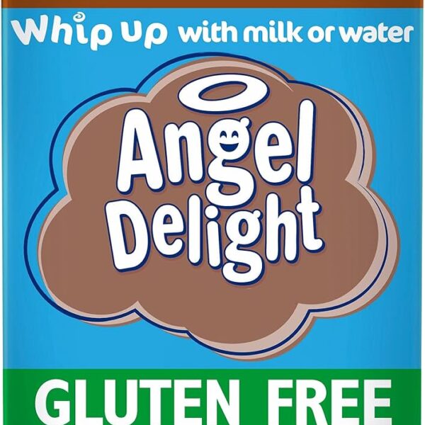 Angel Delight Chocolate Flavour 600g